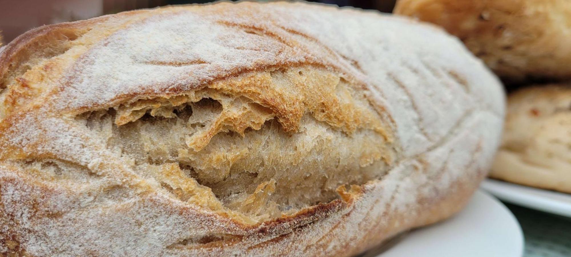 Radisson Blu Hotel, Greater Noida Extérieur photo A close-up of a loaf of bread